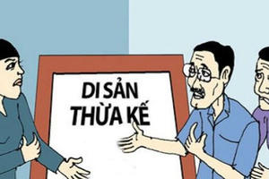 Mẹ kế được hưởng tài sản thừa kế như thế nào?