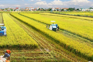 Đề xuất tiếp tục miễn thuế sử dụng đất nông nghiệp đến năm 2025