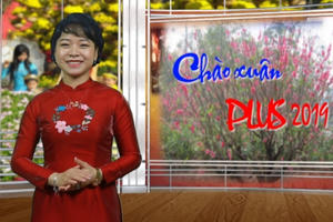 Chào xuân Plus 2019: Đi lễ chùa đầu năm như thế nào là đúng cách?
