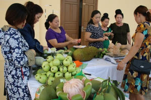 Mường La phát triển nông nghiệp theo hướng biền vững Mường La phát triển nông nghiệp theo hướng biền vững