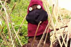 Cách phòng, chống dịch Covid-19 “độc nhất vô nhị” của đồng bào Xơ Đăng ở vùng đất thuốc