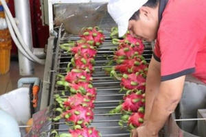 Hướng tới cán cân thương mại bền vững với Hoa Kỳ