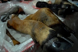 Ngăn chặn thực phẩm bẩn tuồn vào thị trường