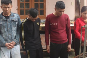 Băng “cẩu tặc” trộm chó với thủ đoàn tàn độc sa lưới