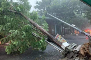 Đà Nẵng: Mất điện, gẫy đổ cây xanh, cột điện do bão số 5 tiến vào bờ