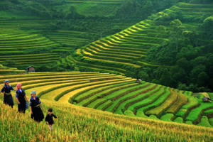 Những điểm du lịch không thể bỏ qua khi trời se lạnh