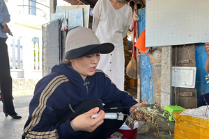 Phát hiện người phụ nữ trực tiếp bơm thạch rau câu vào tôm hùm đã chết để bán ra thị trường