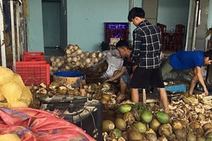 Quảng Nam: Phát hiện cơ sở sử dụng hóa chất tẩy trắng dừa