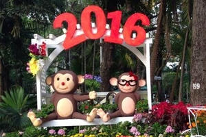 Xuân kể chuyện “Thần Hầu” mang lại may mắn và bình an cho người Việt