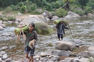 'Lộc trời' dưới chân dãy Giăng Màn