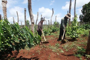 Ngân hàng Chính sách Xã hội: Tới thật gần người dân, không “bỏ quên” hộ nào