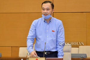 "Nhiều xe biển xanh 8-10 tỷ đồng, có tiết kiệm chống lãng phí không?"