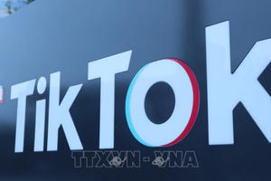 TikTok gỡ hơn 104 triệu video có nội dung bạo lực