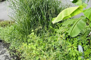 Dừng hợp đồng với các cơ sở chăn nuôi không đảm bảo môi trường