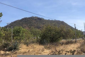 Thực hư kho báu 4.000 tấn vàng ở núi Tàu: Xuất hiện “nhà ngoại cảm” và thanh kiếm Nhật