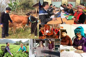 Điều chỉnh một số nội dung phát triển kinh tế xã hội vùng đồng bào dân tộc thiểu số và miền núi