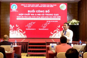 Gặp gỡ người viết nên tên tuổi gạo Thần nông Ong Biển Gặp gỡ người viết nên tên tuổi gạo Thần nông Ong Biển