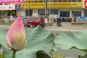 Đồng Tháp: Phối hợp tăng cường hiệu quả công tác lý lịch tư pháp