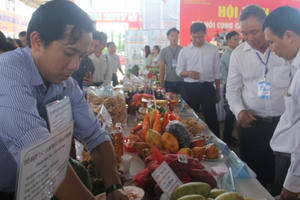 Khai mạc Hội chợ quốc tế thương mại, du lịch và đầu tư hành lang kinh tế Đông Tây Khai mạc Hội chợ quốc tế thương mại, du lịch và đầu tư hành lang kinh tế Đông Tây