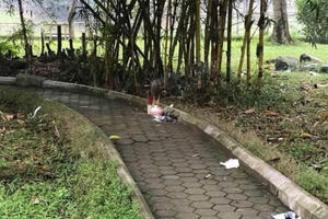 Hà Nội: Thông tin mới nhất về vụ một phụ nữ chết bí ẩn trong vườn hoa, thi thể không có quần