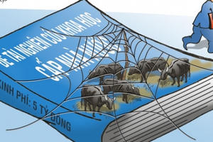 Bò ơi, giá như bò biết đọc, biết viết để làm đơn xin được về rừng!