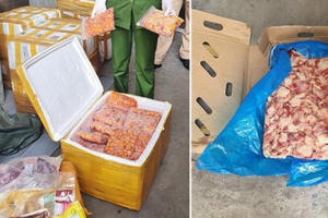 Bắt giữ 13 tấn thực phẩm đông lạnh không nguồn gốc