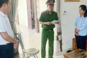 Lừa đảo, rao bán vé máy bay giá rẻ giả, một phụ nữ bị bắt