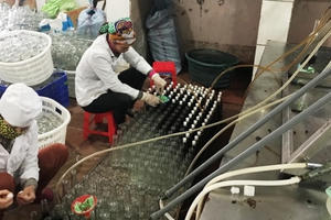 Quy trình làm nước mắm truyền thống ở Quảng Ninh