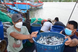 Quyết liệt triển khai các giải pháp cấp bách chống khai thác hải sản bất hợp pháp