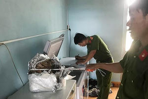 Lâm Đồng: Phạt 75 triệu đồng người đàn ông ngâm cá thể hổ trong bể rượu