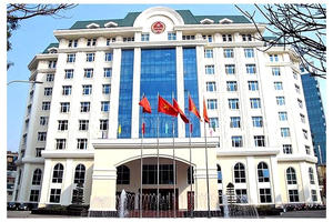 Cục Thuế xin ý kiến góp ý đối với Dự thảo Luật Quản lý thuế (sửa đổi)