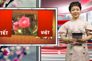 Bản tin Tết Việt 2020: Lễ chùa đầu xuân, miền tâm thức linh thiêng