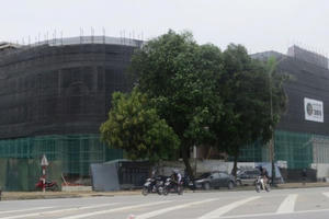 Gần 7.000m2 đất vàng tại Nghệ An bị 'thâu tóm' như thế nào?