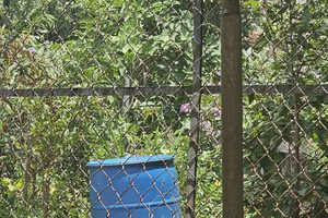 Điều tra vụ một phụ nữ tử vong trong thùng phuy nhựa tại Bình Phước