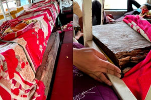 Hà Tĩnh: Phát hiện xe khách chở gỗ sao xanh không rõ nguồn gốc