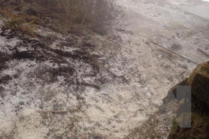 Dự báo thời tiết ngày 10/2: Bắc Bộ rét đậm có nơi rét hại