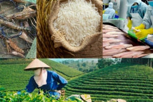 Xây dựng thương hiệu quốc gia cho nông sản Việt