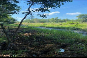 Một công ty vệ sinh ở Đồng Nai đổ 7.000 m3 chất thải trực tiếp ra môi trường