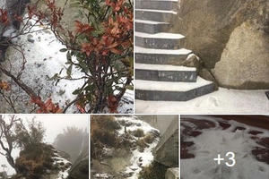 Cộng đồng mạng thích thú khoe ảnh tuyết rơi trên đỉnh Fansipan