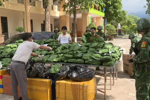 Bộ Tư lệnh BĐBP khen thưởng lực lượng phá thành công chuyên án ma túy