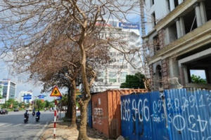 Hải Phòng điều tra nghi án “ám sát” cây xanh