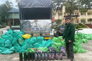 Lộ diện đường dây vận chuyển khí cười quy mô lớn bằng nhiều xe ô tô gắn biển số giả