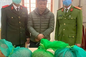 Bị bắt khi đang trên đường vận chuyển 3 cá thể tê tê quý hiếm