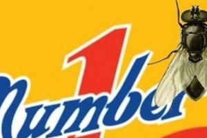 Con ruồi nửa tỷ, đắt nhất hành tinh