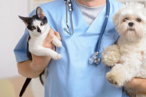 Sửa quy định xử phạt về lĩnh vực bảo vệ thực vật, thú y