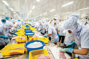 Xuất khẩu cá tra 11 tháng vượt mốc 2 tỷ USD