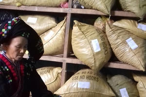 Mẹ Lầu: “Vua chữa vô sinh hiếm muộn” tại Mường Lát - Thanh Hóa