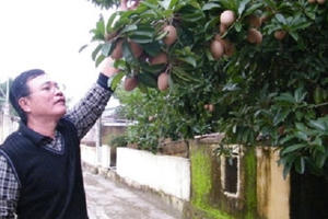 Người từ chối bán 50.000 cá sấu cho Trung Quốc