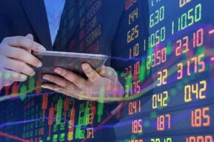 Vi phạm công bố thông tin, Tân Hoàn Cầu Bến Tre bị xử phạt 85 triệu đồng