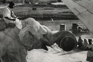 Nhưng bức ảnh đen trắng hiếm gặp đi vào lịch sử